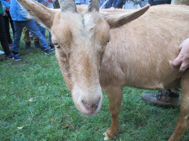 img 2370
