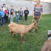 img_2364