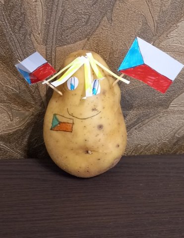 16