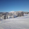 IMG_20220111_092637