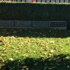 IMG-20211029-WA0011