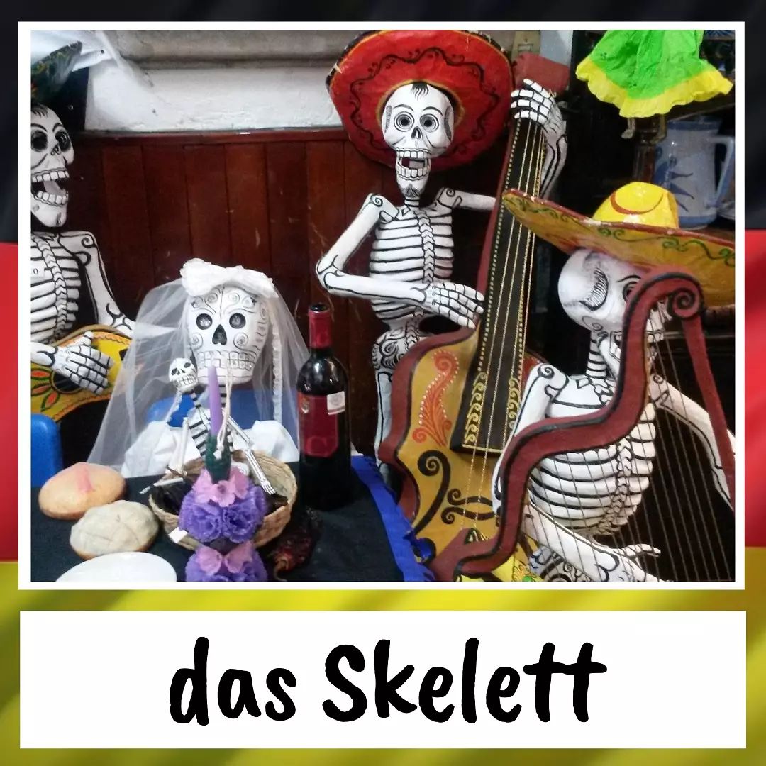 skelett