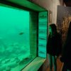 IMG_20211019_094553430