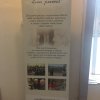 IMG-8415