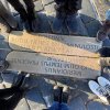 IMG-7053