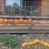 20171011_094118