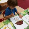 IMG_20171010_103349-800