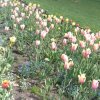 20180426_110125