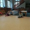 img_20180126_101108