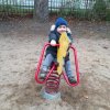 img_20171110_105223-800