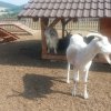 20180605_092445