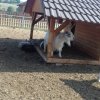 20180605_092450
