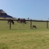 20180605_093746