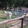 20180605_094818