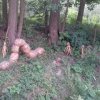 20180605_100840