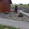 20180605_110325