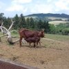 20180605_122103