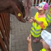 20180605_120321-800