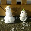 20171218_111501-800