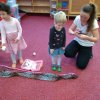 IMG_20190131_094744