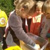 img_20190426_103844