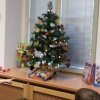 20181212_094918