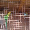 20190509_171118