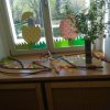 IMG_20190417_092419