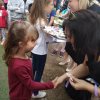 IMG_20190529_171714