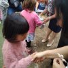 IMG_20190529_171917
