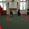 IMG_20190430_100538