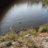 IMG_20191014_104247