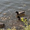 IMG_20191014_104259