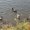 IMG_20191014_104747