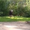 20190905_101244