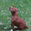 IMG_20191015_102951