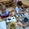 IMG_20191108_074745