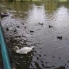 IMG_20190927_095434