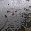 IMG_20190927_095455