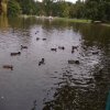 IMG_20190927_100410
