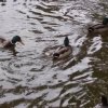 IMG_20190927_100423