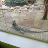 img_20200302_095557