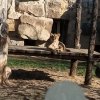 img_20200302_101821