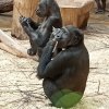 img_20200302_102906