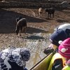 img_20200302_104817