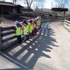 img_20200302_104851