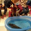 IMG_20191204_092040