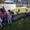 IMG_20210601_102929