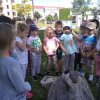 IMG_20210601_103011