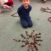 116